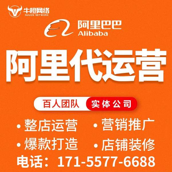 台州电商代运营
