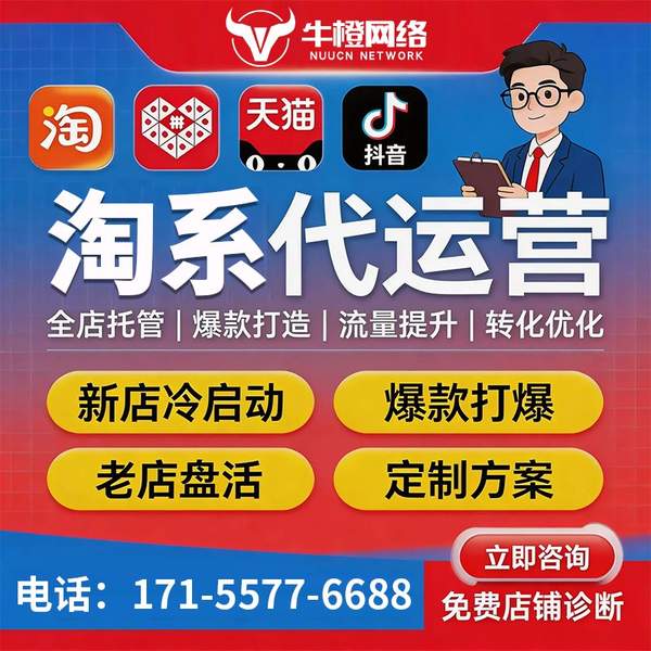 台州电商代运营