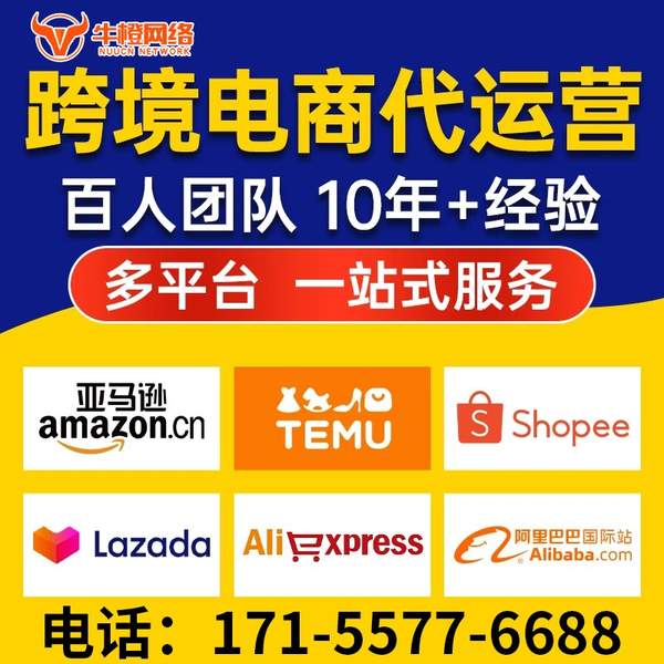 台州电商代运营