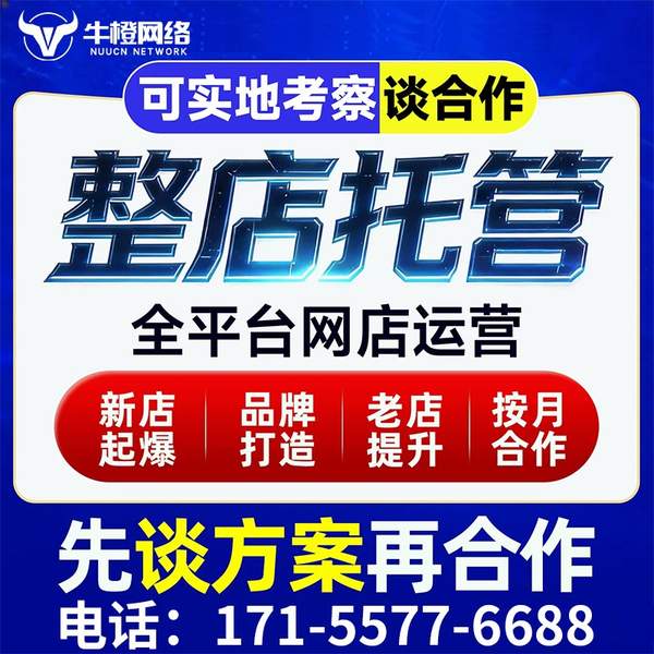台州电商代运营