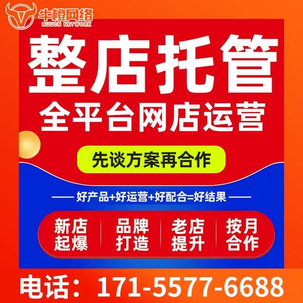台州电商代运营