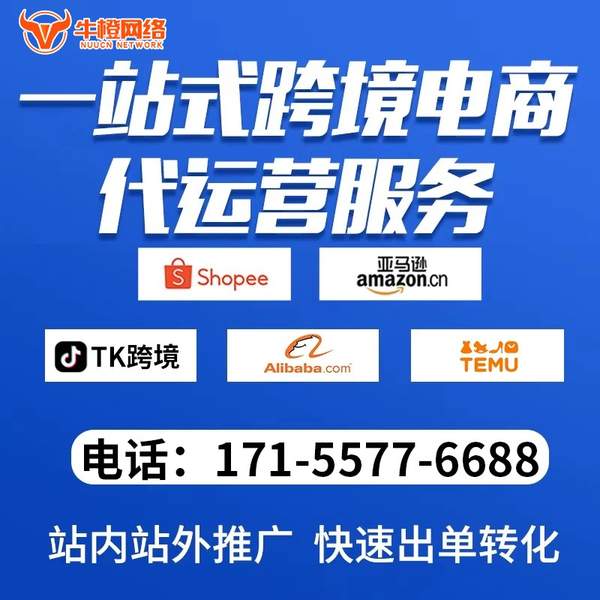 台州电商代运营