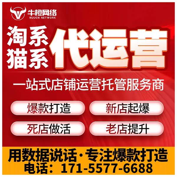 台州电商代运营